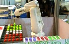 ABB_robotica_2012_0.JPG